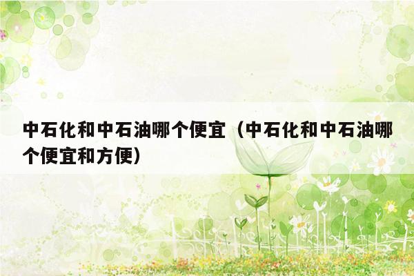 中石化和中石油哪个便宜（中石化和中石油哪个便宜和方便）