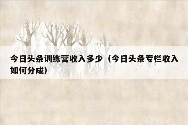 今日头条训练营收入多少（今日头条专栏收入如何分成）