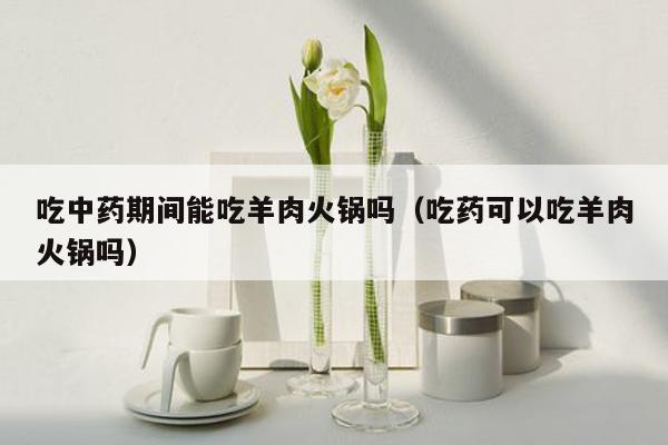 吃中药期间能吃羊肉火锅吗（吃药可以吃羊肉火锅吗）