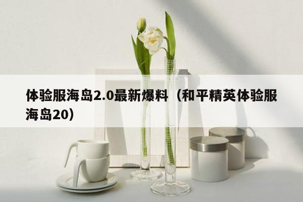体验服海岛2.0最新爆料（和平精英体验服海岛20）