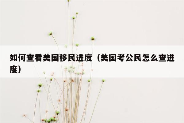 如何查看美国移民进度（美国考公民怎么查进度）