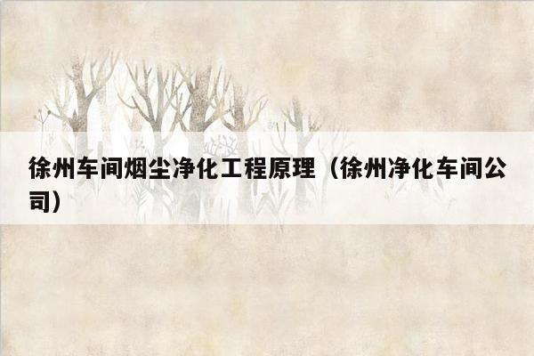 徐州车间烟尘净化工程原理（徐州净化车间公司）