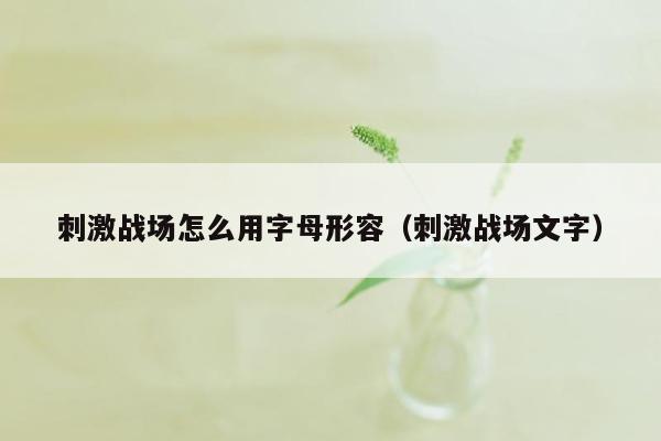 刺激战场怎么用字母形容（刺激战场文字）