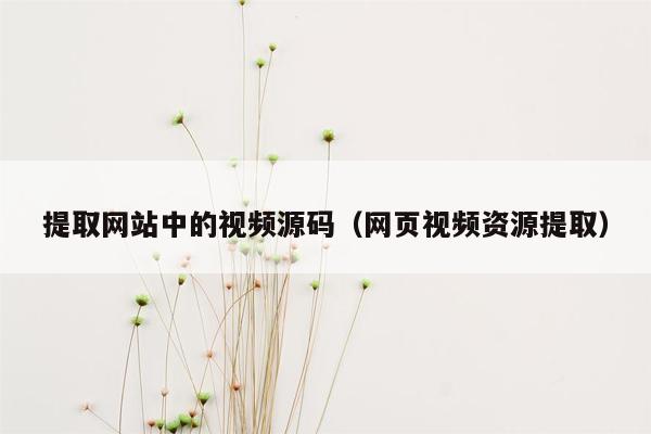 提取网站中的视频源码（网页视频资源提取）