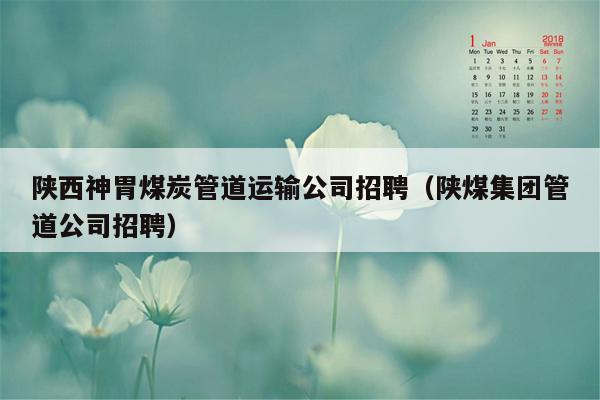 陕西神胃煤炭管道运输公司招聘（陕煤集团管道公司招聘）