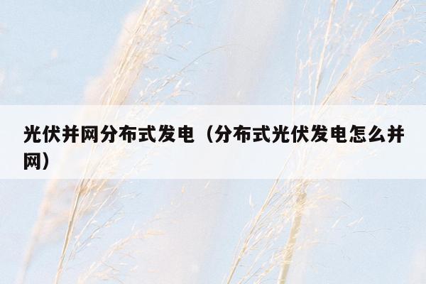 光伏并网分布式发电（分布式光伏发电怎么并网）