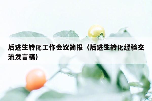 后进生转化工作会议简报（后进生转化经验交流发言稿）