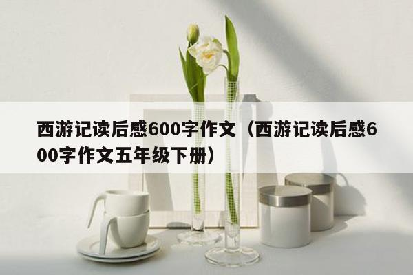 西游记读后感600字作文（西游记读后感600字作文五年级下册）