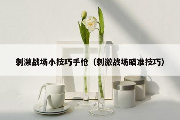 刺激战场小技巧手枪（刺激战场瞄准技巧）