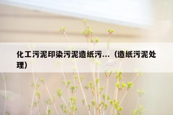 化工污泥印染污泥造纸污...（造纸污泥处理）