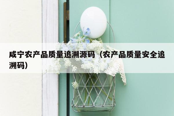 咸宁农产品质量追溯源码（农产品质量安全追溯码）