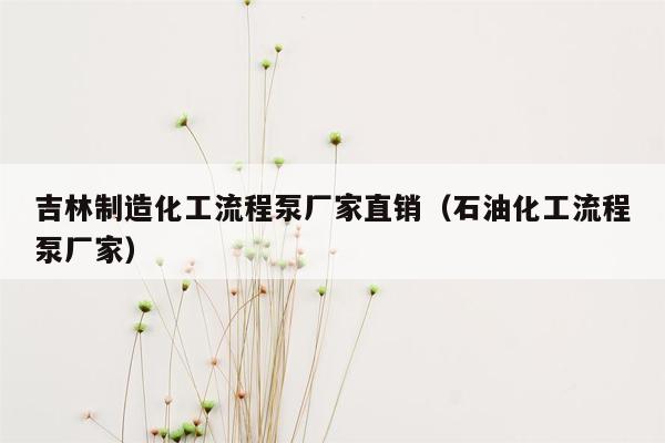 吉林制造化工流程泵厂家直销（石油化工流程泵厂家）