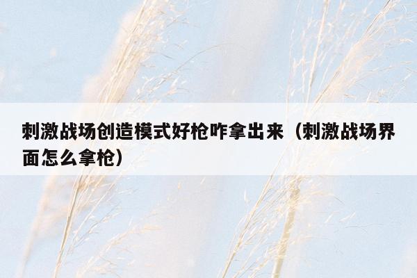 刺激战场创造模式好枪咋拿出来（刺激战场界面怎么拿枪）