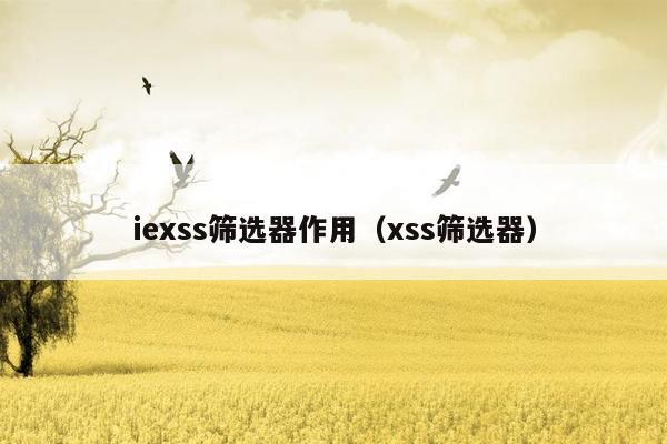 iexss筛选器作用（xss筛选器）