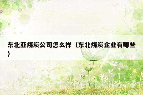东北亚煤炭公司怎么样（东北煤炭企业有哪些）