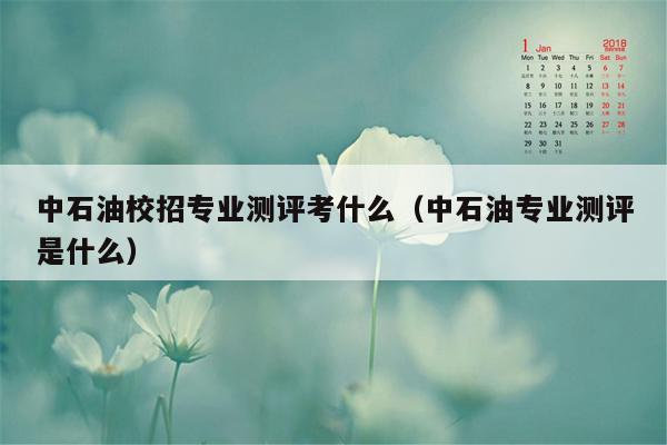 中石油校招专业测评考什么（中石油专业测评是什么）