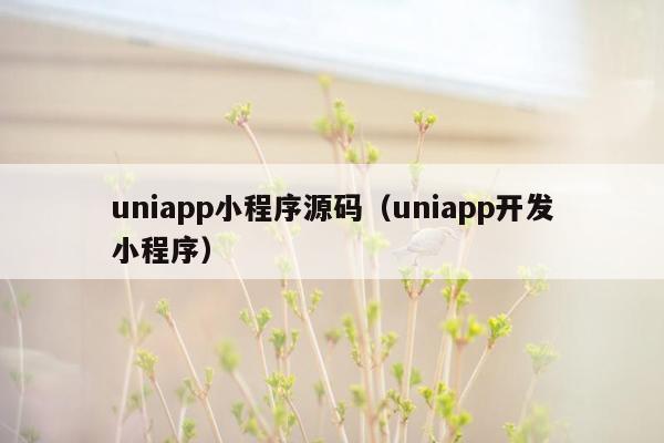 uniapp小程序源码（uniapp开发小程序）