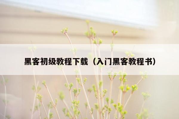 黑客初级教程下载（入门黑客教程书）