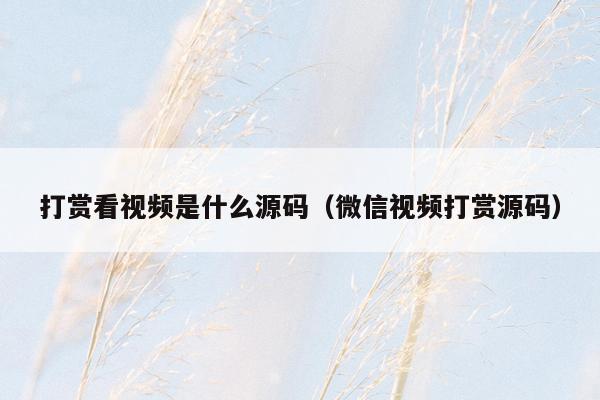 打赏看视频是什么源码（微信视频打赏源码）
