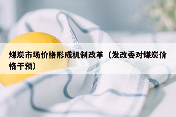 煤炭市场价格形成机制改革（发改委对煤炭价格干预）