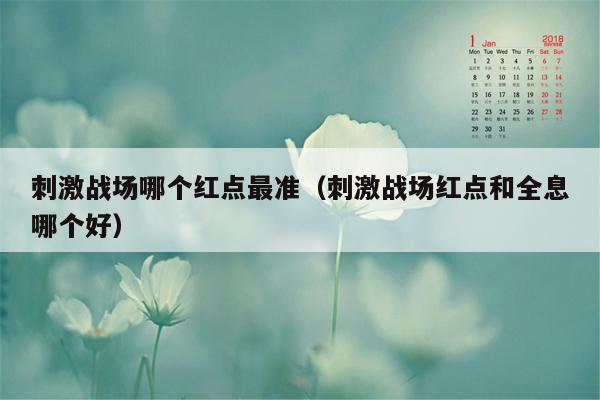 刺激战场哪个红点最准（刺激战场红点和全息哪个好）