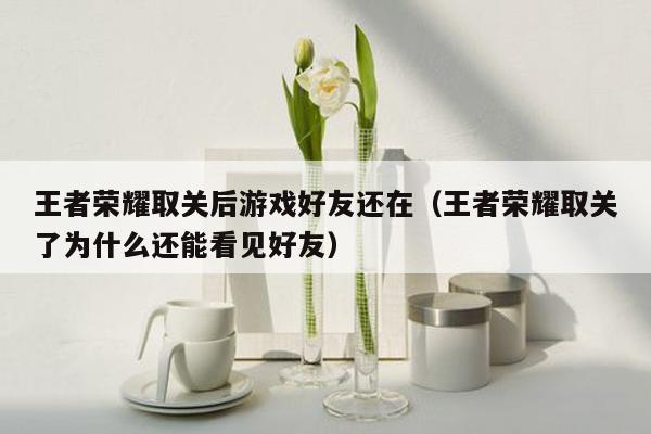 王者荣耀取关后游戏好友还在（王者荣耀取关了为什么还能看见好友）