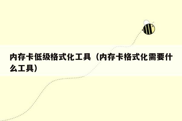 内存卡低级格式化工具（内存卡格式化需要什么工具）