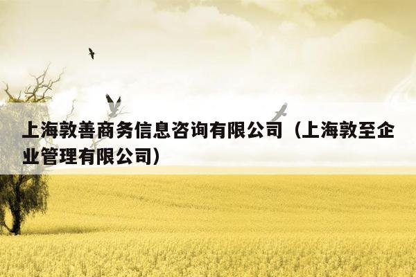 上海敦善商务信息咨询有限公司（上海敦至企业管理有限公司）
