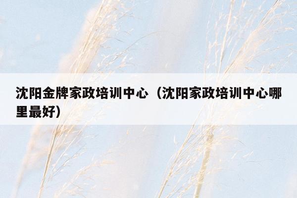 沈阳金牌家政培训中心（沈阳家政培训中心哪里最好）
