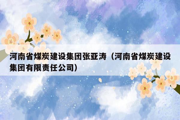 河南省煤炭建设集团张亚涛（河南省煤炭建设集团有限责任公司）