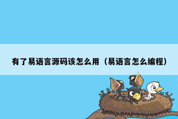 有了易语言源码该怎么用（易语言怎么编程）