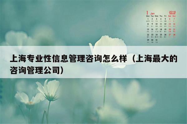 上海专业性信息管理咨询怎么样（上海最大的咨询管理公司）
