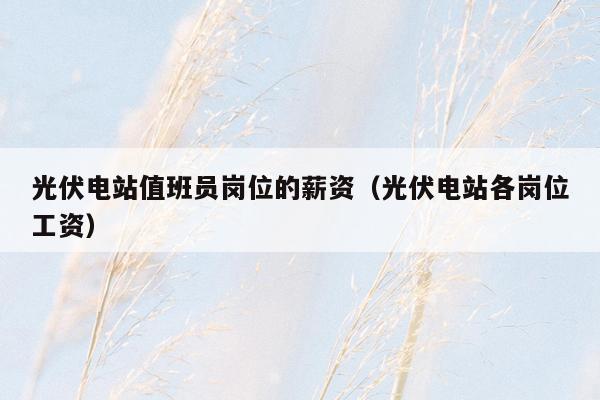 光伏电站值班员岗位的薪资（光伏电站各岗位工资）