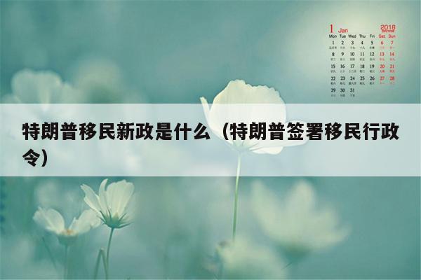 特朗普移民新政是什么（特朗普签署移民行政令）