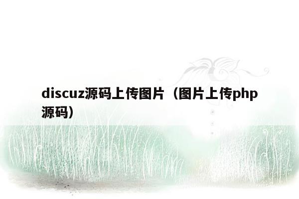 discuz源码上传图片（图片上传php源码）