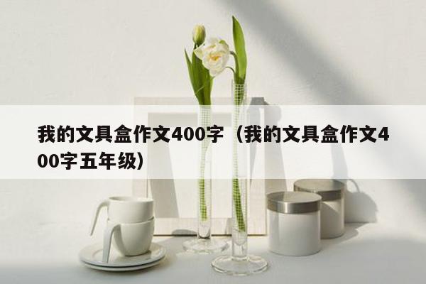 我的文具盒作文400字（我的文具盒作文400字五年级）