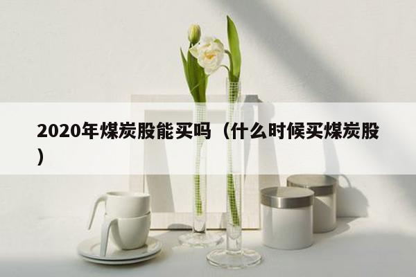 2020年煤炭股能买吗（什么时候买煤炭股）