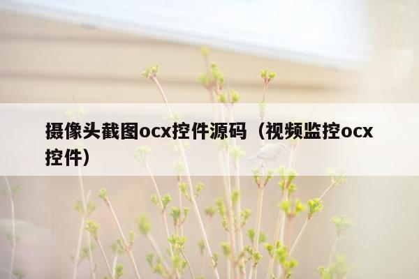 摄像头截图ocx控件源码（视频监控ocx控件）