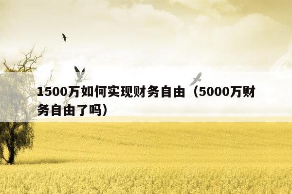 1500万如何实现财务自由（5000万财务自由了吗）