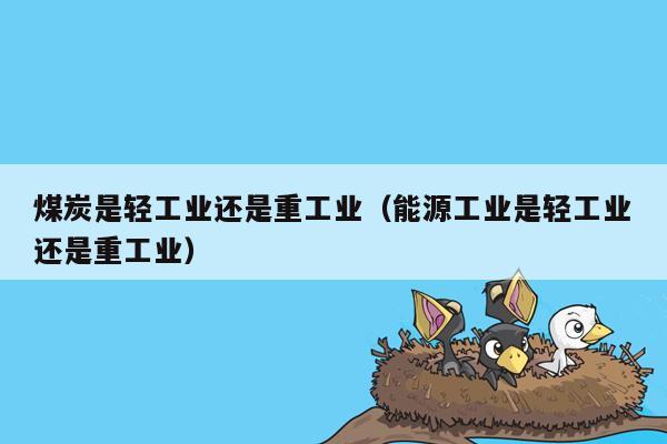 煤炭是轻工业还是重工业（能源工业是轻工业还是重工业）