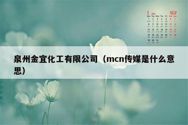 泉州金宜化工有限公司（mcn传媒是什么意思）