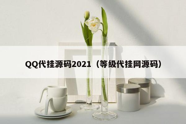 QQ代挂源码2021（等级代挂网源码）