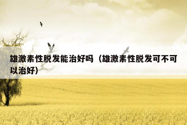 雄激素性脱发能治好吗（雄激素性脱发可不可以治好）