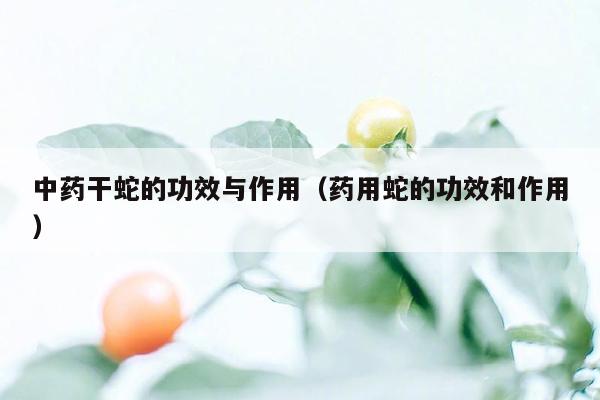 中药干蛇的功效与作用（药用蛇的功效和作用）