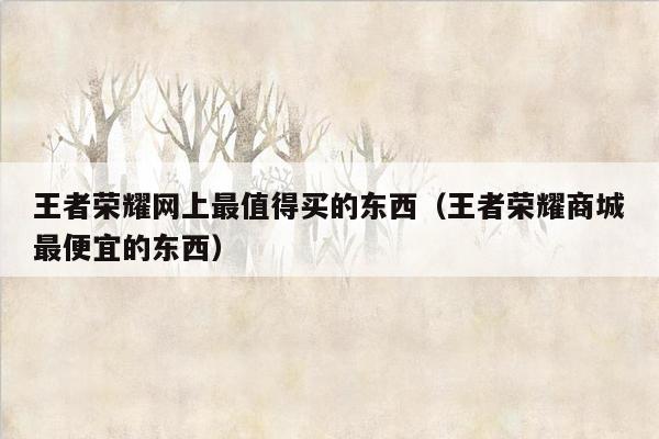 王者荣耀网上最值得买的东西（王者荣耀商城最便宜的东西）