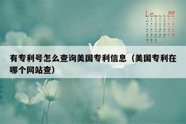 有专利号怎么查询美国专利信息（美国专利在哪个网站查）