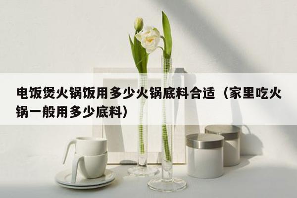 电饭煲火锅饭用多少火锅底料合适（家里吃火锅一般用多少底料）