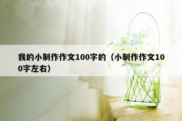 我的小制作作文100字的（小制作作文100字左右）