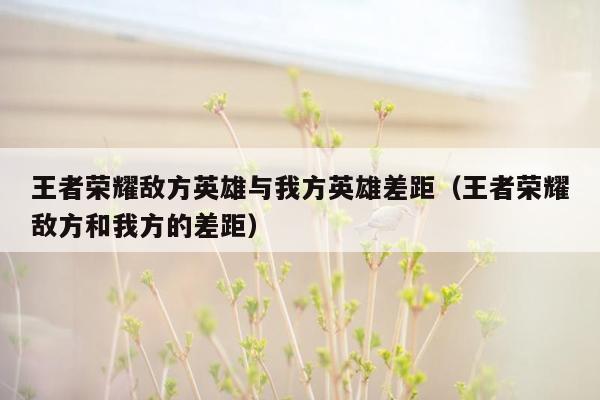 王者荣耀敌方英雄与我方英雄差距（王者荣耀敌方和我方的差距）
