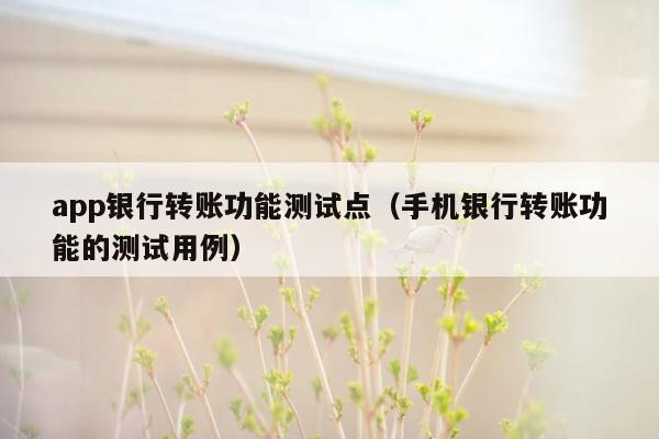 app银行转账功能测试点（手机银行转账功能的测试用例）
